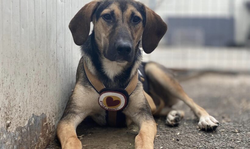 BLÜMCHEN – ca. 1 Jahr