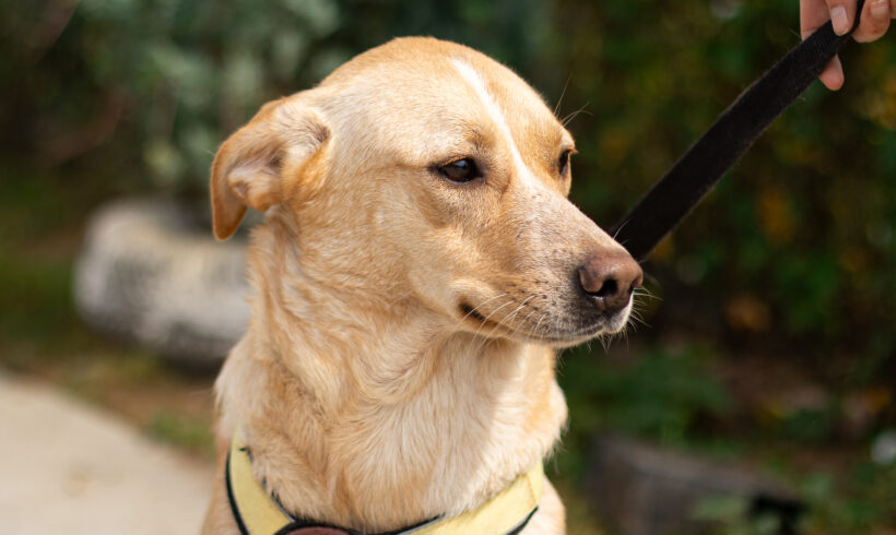 DAMKINA – ca. 2 Jahre