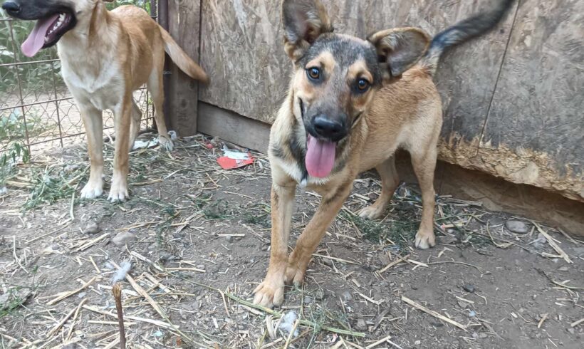 CUTIE – ca. 8 Monate