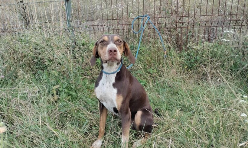 PATRISIA – ca. 2 Jahre