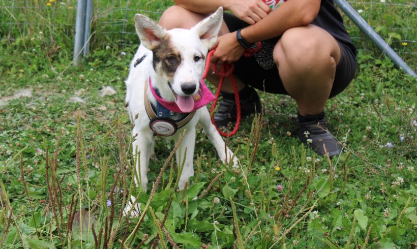 LOTTA – ca. 6 Monate