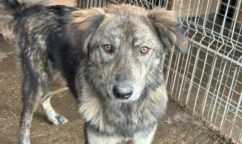 HOPE – ca. 8-9 Monate