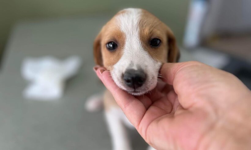 LUDMILLA – ca. 4 Monate