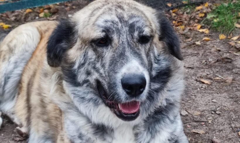 VITA – ca. 2,5 Jahre