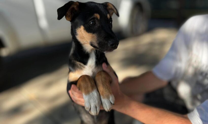 MATTEA – ca. 6 Monate