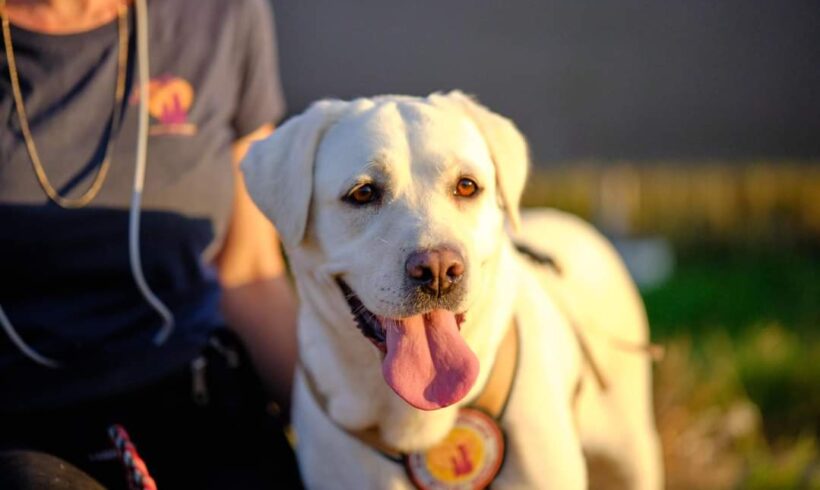 ANEMON – ca. 5 Jahre