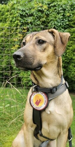 SANJA – ca. 1 Jahr