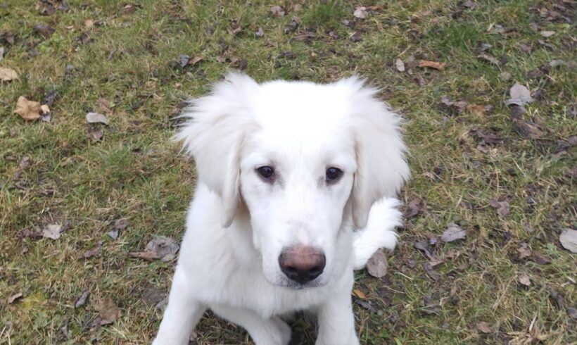 OLAF – ca. 6 Monate