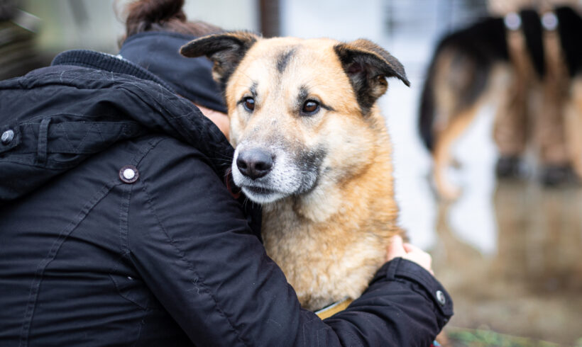 JIVE – ca. 2,5 Jahre