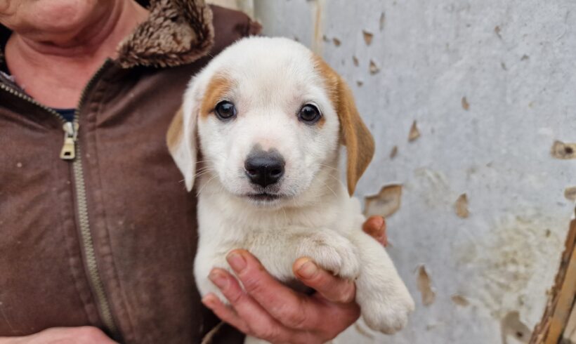 CAMILLA – ca. 3 Monate