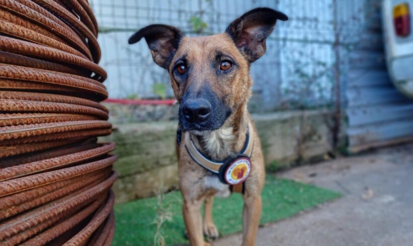 BERNINA – ca. 3 Jahre