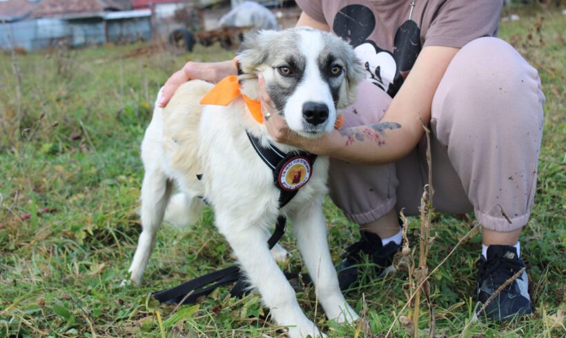 KATHARINA – ca. 7 Monate