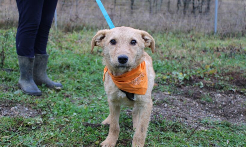 FLUMMI – ca. 5 Monate