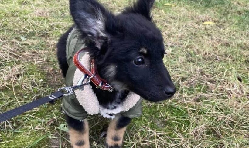 ORELLA – ca. 3 Monate