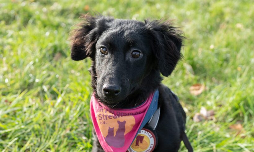 SELENA – ca. 5 Monate