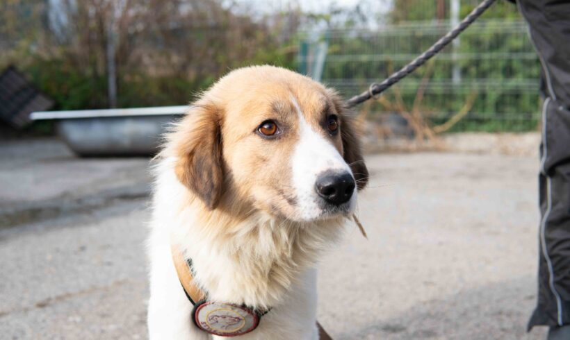 JUNO – ca. 2 Jahre