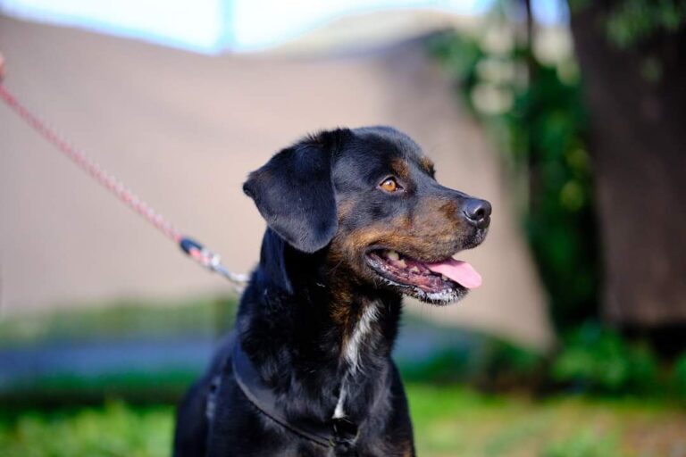 FB_IMG_1699466240366