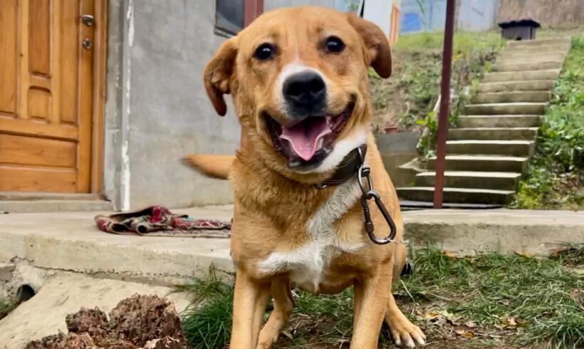 MARIETTA – ca. 7 – 8 Monate