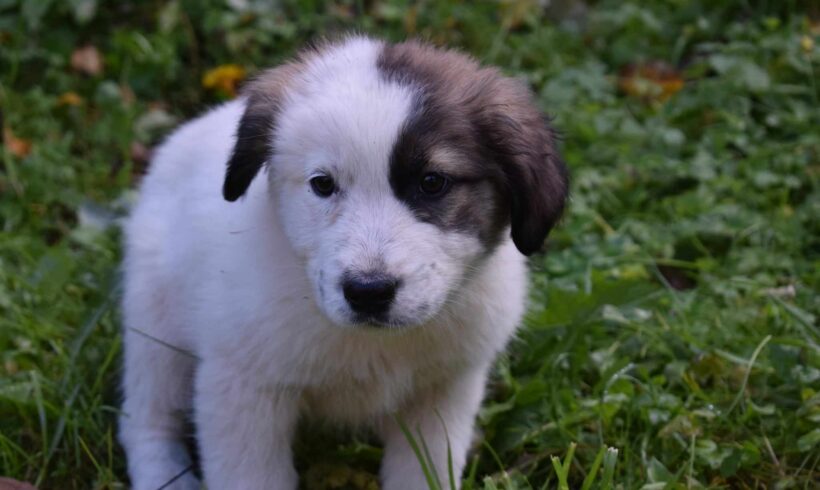 MALIYA – ca. 4 Monate