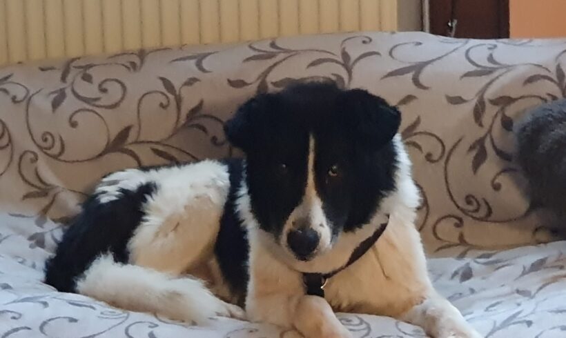 MARTE – ca. 9 – 10 Jahre