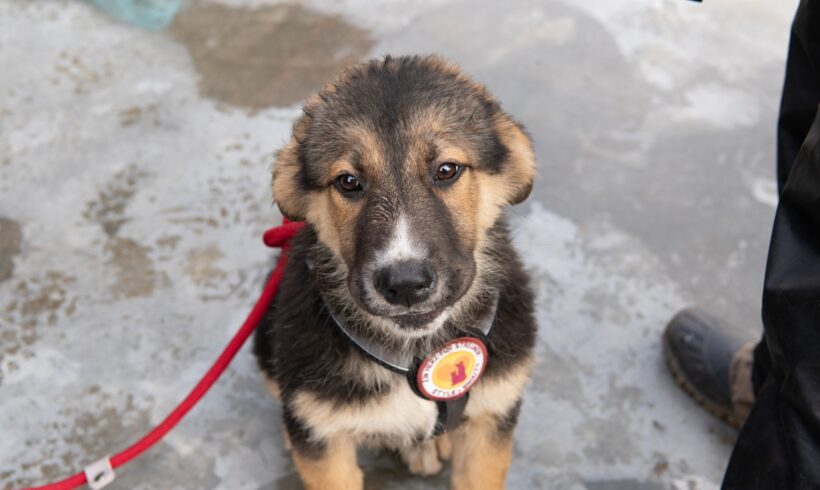 MICHI – ca. 5 – 6 Monate