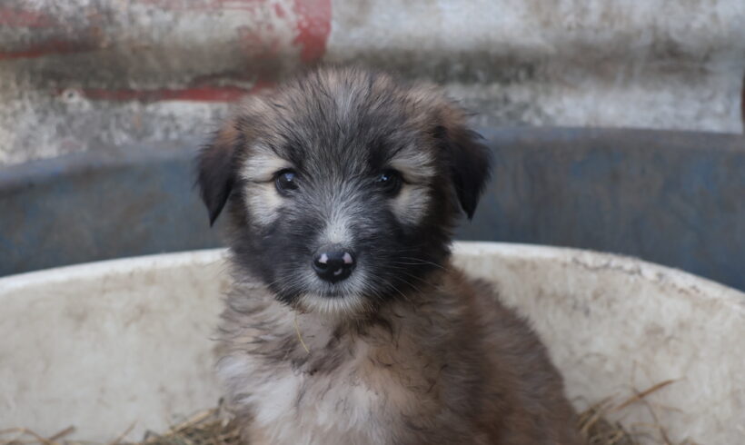 JANNO – ca. 4 Monate