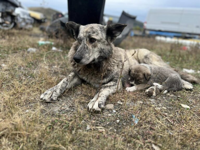 402054511_10159103043057581_5462846542083651893_n