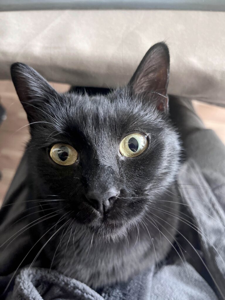 402641155_10160225792748195_4304836938447109680_n