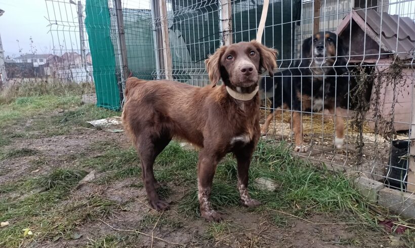 ZINI – ca. 2 Jahre