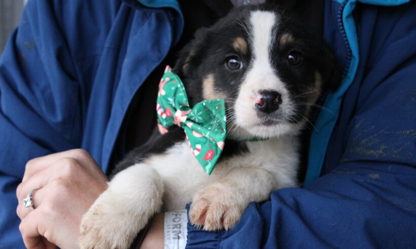 SAMUEL – ca. 3 Monate