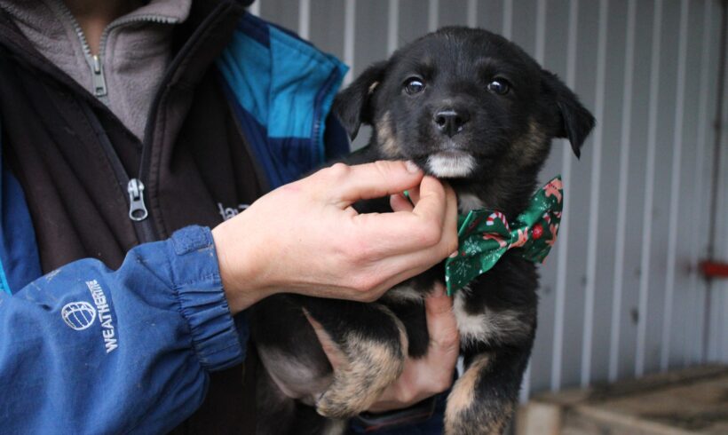 ARLO – ca. 3 Monate