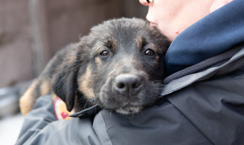 ELLI – ca. 4 – 5 Monate