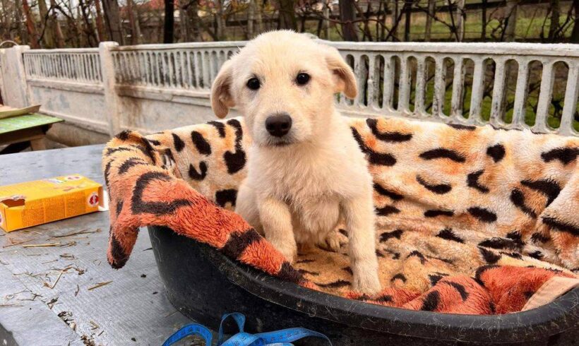 ASHER – ca. 4 Monate ASHER – ca. 4 Monate