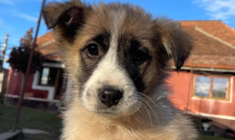 BONTJE – ca. 3 Monate