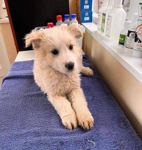 MAJKI – ca. 5 Monate