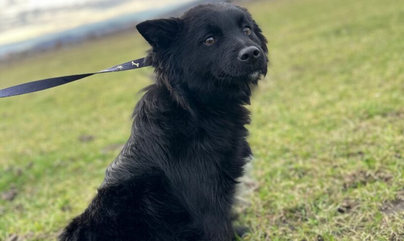 FINAH – ca. 1 Jahr