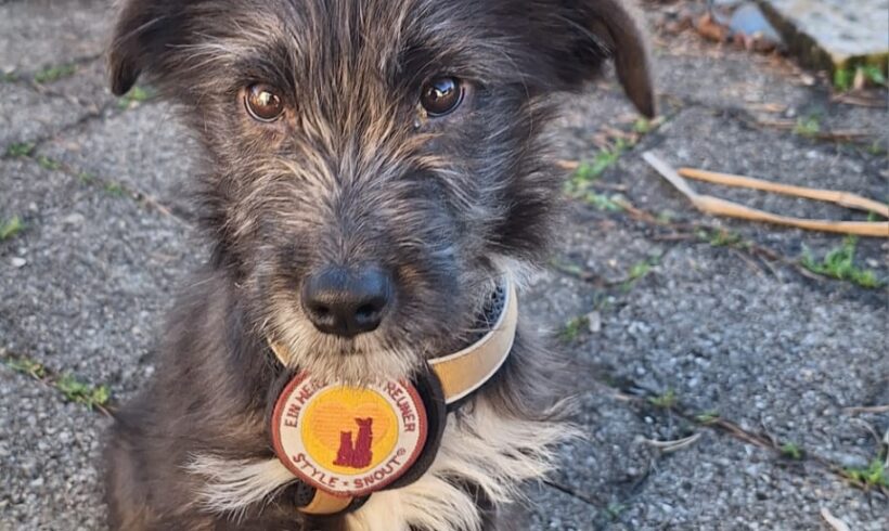 MAJRIE – ca. 6 Monate