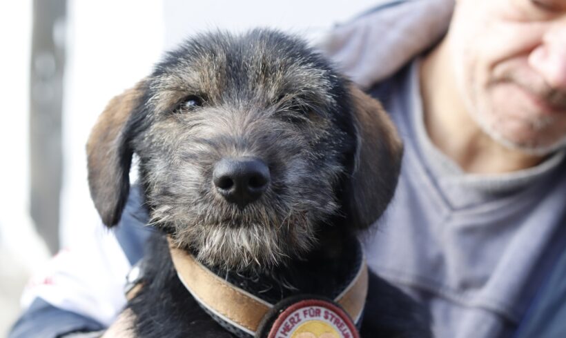 MAE – ca. 6 Monate