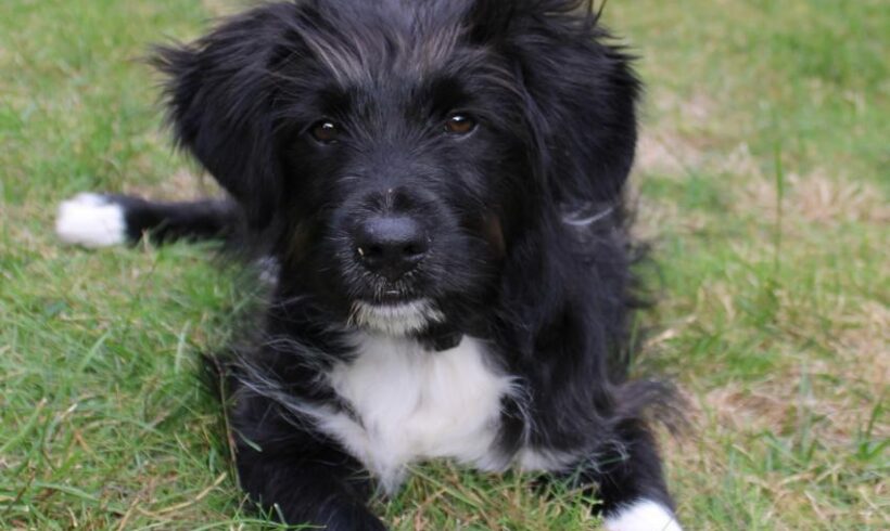 JULI – ca. 7 Monate