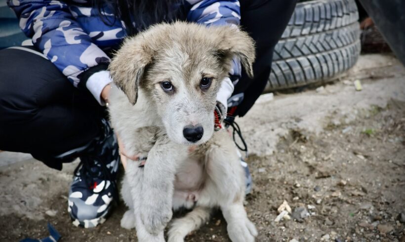 SASSI – ca. 5 Monate