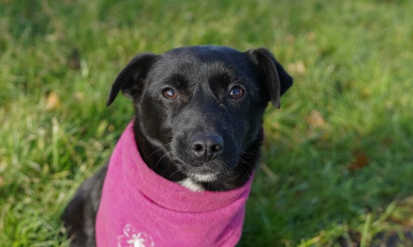 TRULY – ca. 4 Monate