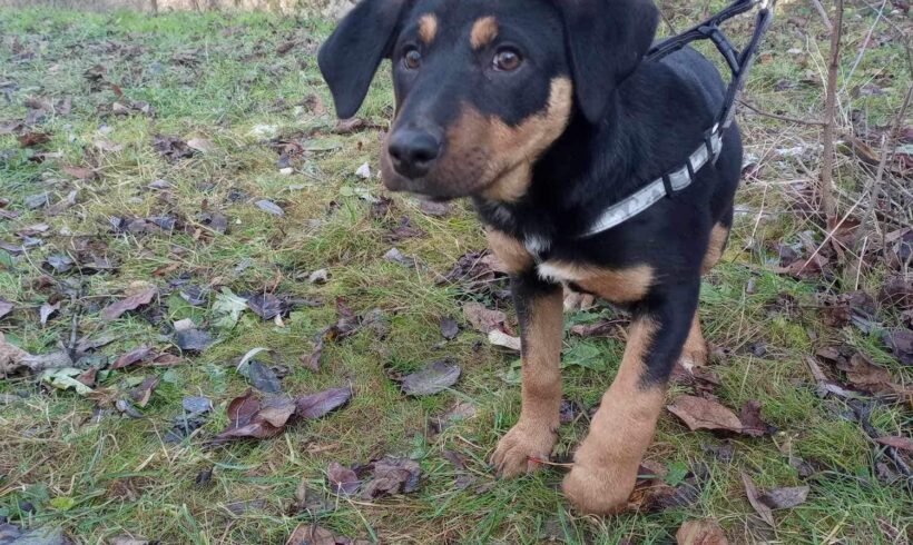 PAULINA – ca. 4,5 Monate