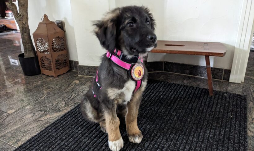 MINKA – ca. 4 Monate