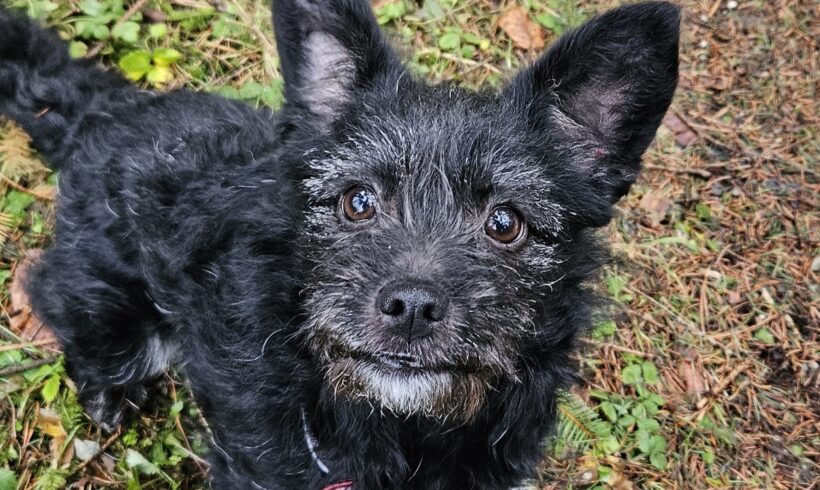 SUSI – ca. 6 Monate