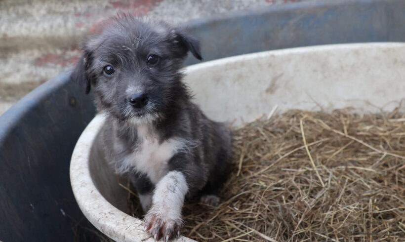 JÖRG – ca. 4 Monate