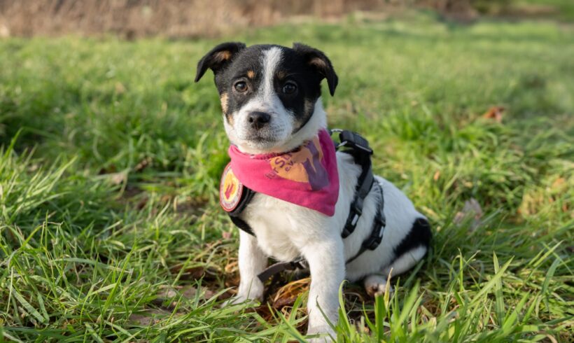 MEGAN – ca. 4 Monate