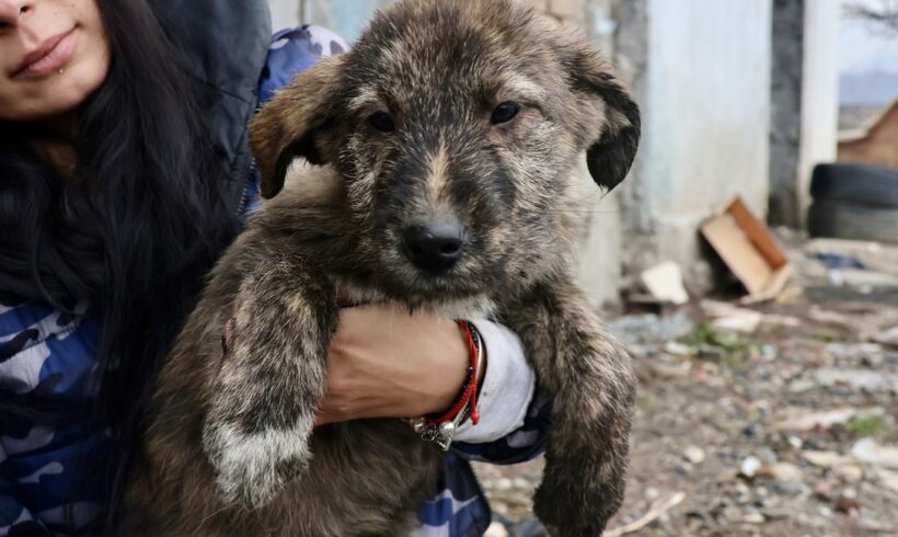 MEDI – ca. 5 Monate