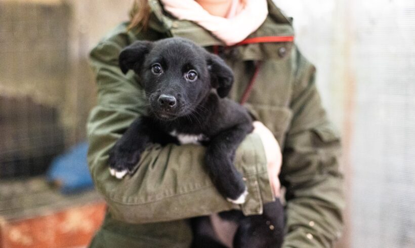 HEXE – ca. 4 Monate