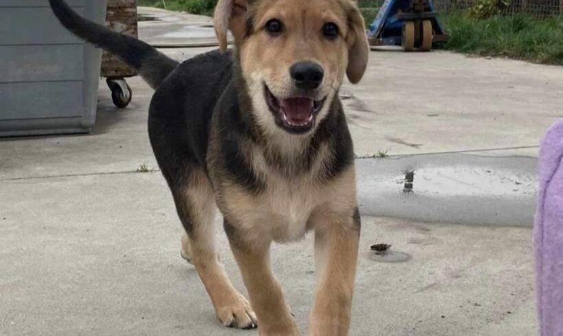 MATS – ca. 4 – 5 Monate