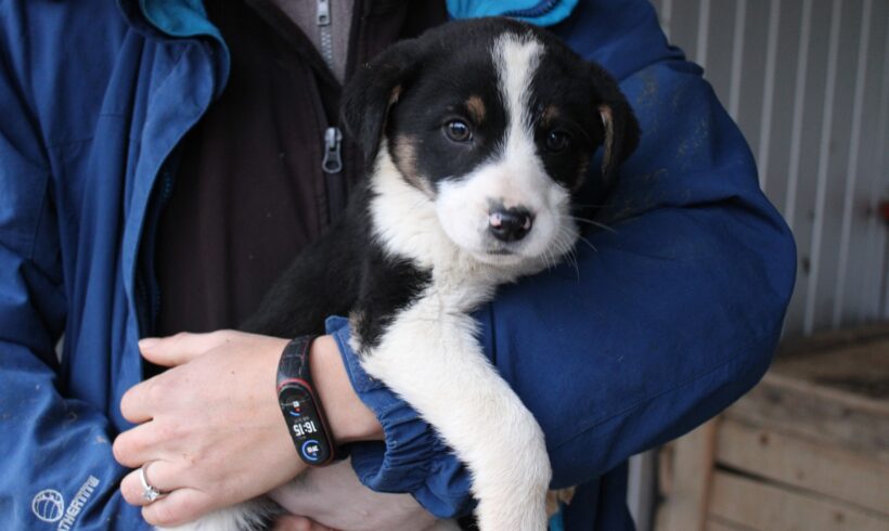 EMY – ca. 3 Monate